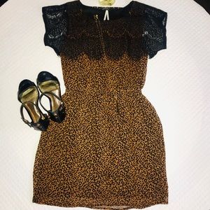 NWOT Classy Leopard Print Dress w/ Lace Collar